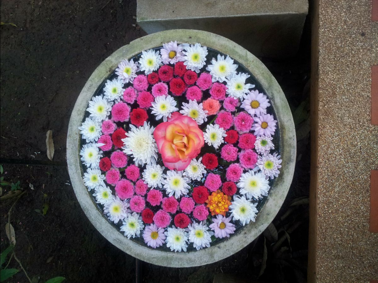 201302 Chiang Mai10